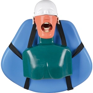 RG02 Dental simulator