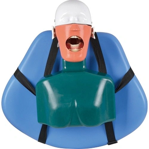 RG02 Dental simulator
