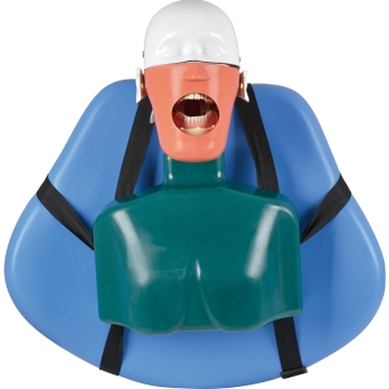 RG02 Dental simulator