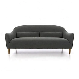 Fashion Style Factory Price Delicate Living Room Furniture Simple Loveseat Sofa