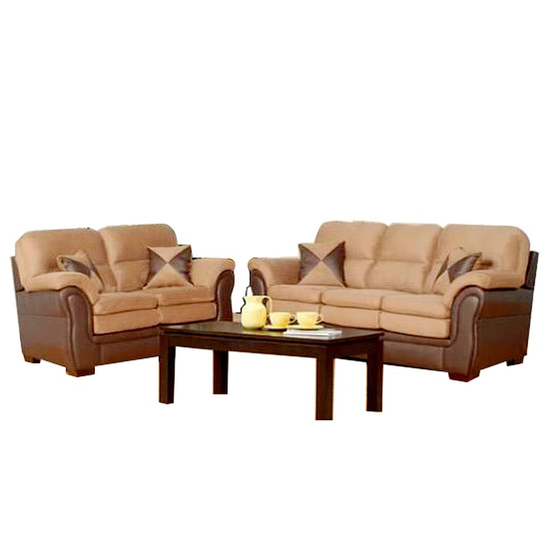new style  massage  wood  furniture pictures sofa