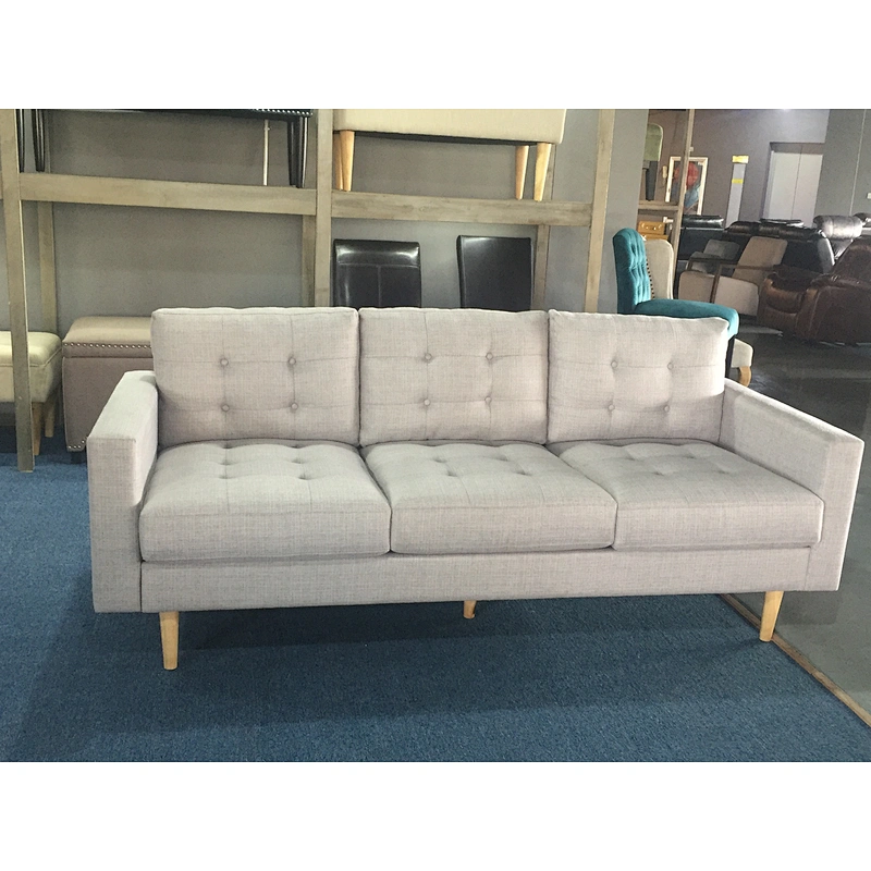 Frank Furniture Nordic Modern Sofa 2 Seater Small Couch Living Room Sofa Fabric Solid Sofa Set Designs