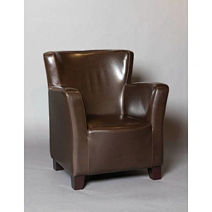 Frank Furniture Antique Style With Arm Accent Chair Elderly Chair