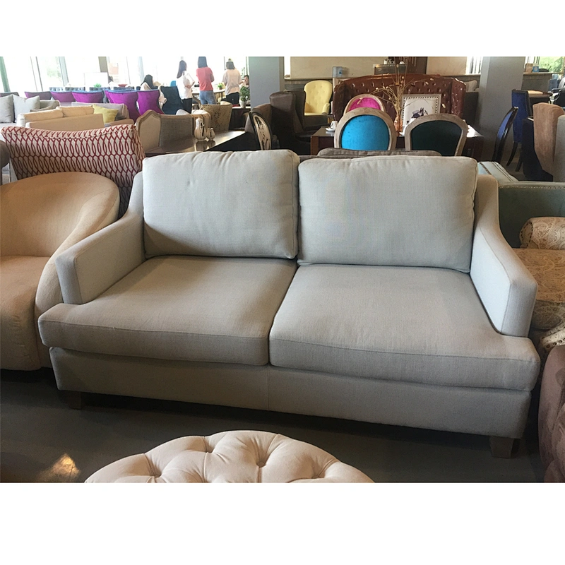 Frank Furniture Hot Selling Simple Modern Sofa Fabric Couch Living Room Sofa Super Soft Big 2 Seater Sofa Set Designs