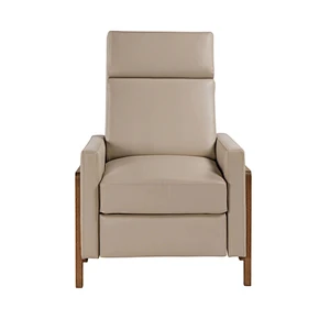 Frank Furniture 2019 New Modern Accent Chair Living Room Leather Push Chair Lounge Chair