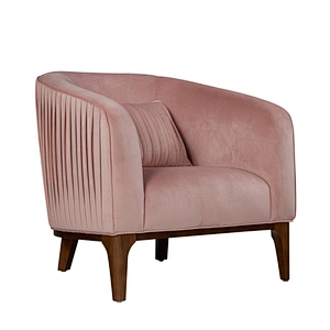 Frank Furniture Push Chair Accent Leather Fabric Velvet Modern Comfortable Accent Chair