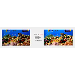 Rental Display-1