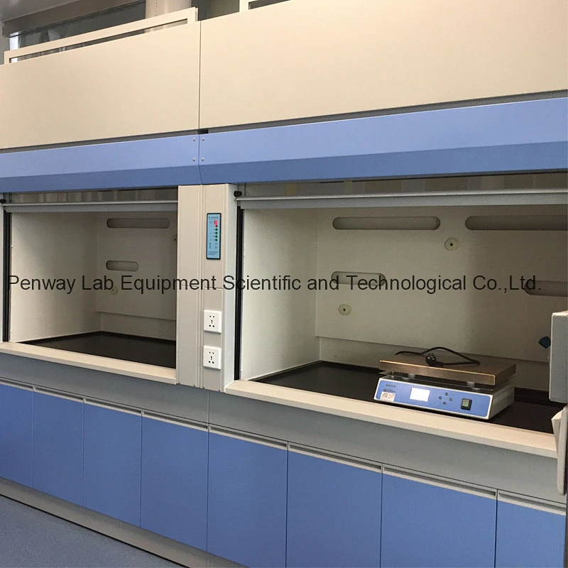 Durable Acid Alkali Resistant Painted Steel Chemical Fume Hood