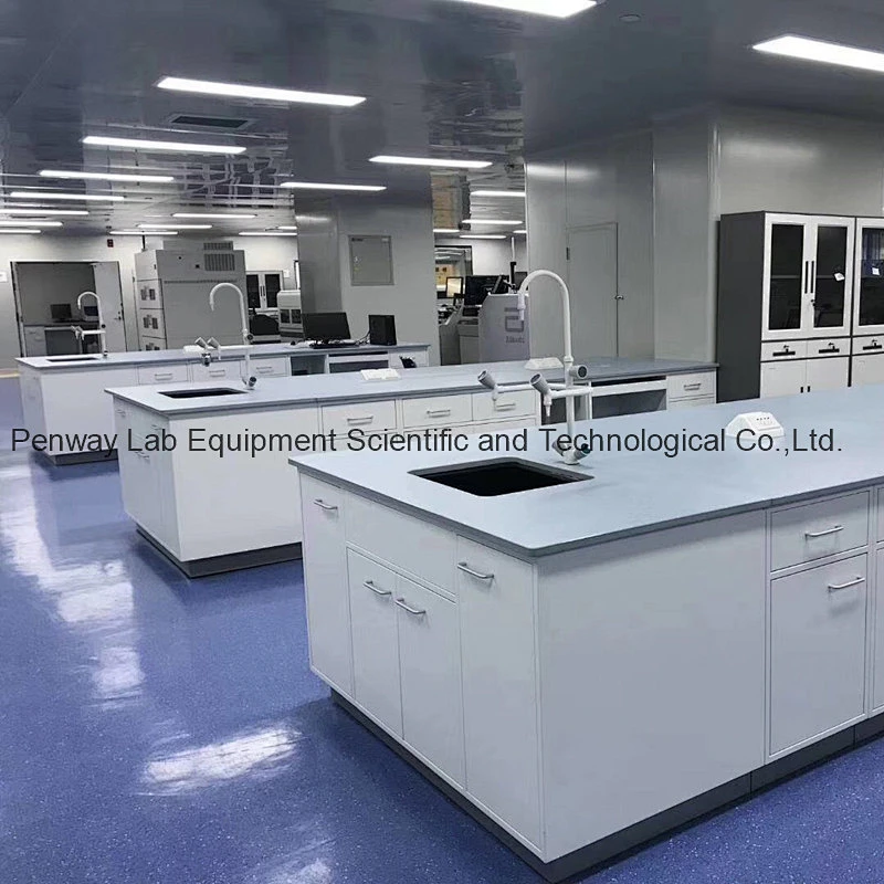 Chemical Resistant School Chemistry University Lab Bench Lab Table Lab Furniture