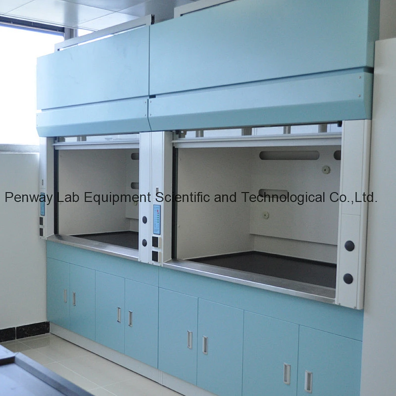 Energy Saving Chemical Resistant Fume Hood with CE Certificate