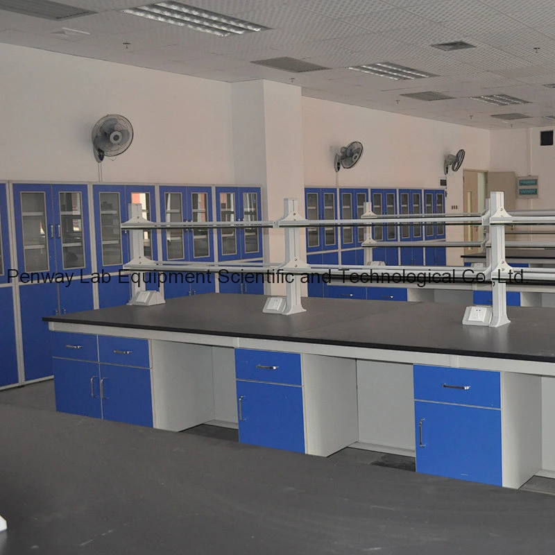 Chemical Resistant Steel and Wood Lab Furniture with Good Quality
