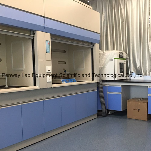 Durable Acid Alkali Resistant Painted Steel Chemical Fume Hood