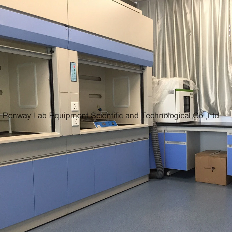 Durable Acid Alkali Resistant Painted Steel Chemical Fume Hood