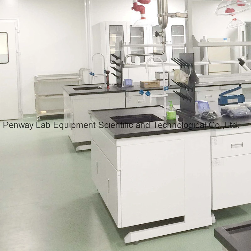 Pharmaceutical Lab Bench Lab Furniture (GMP STANDARD)