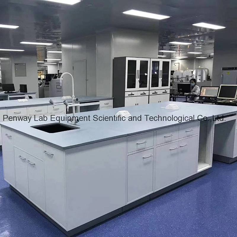Chemical Resistant School Chemistry University Lab Bench Lab Table Lab Furniture