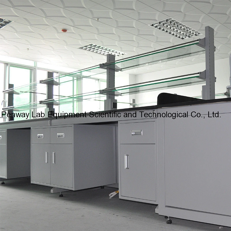 Steel Frame Commercial Laboratory Furniture Metal Lab Workbench