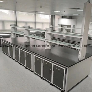 Durable Chemical Resistant Physics Chemistry Lab Furniture Science Lab Bench