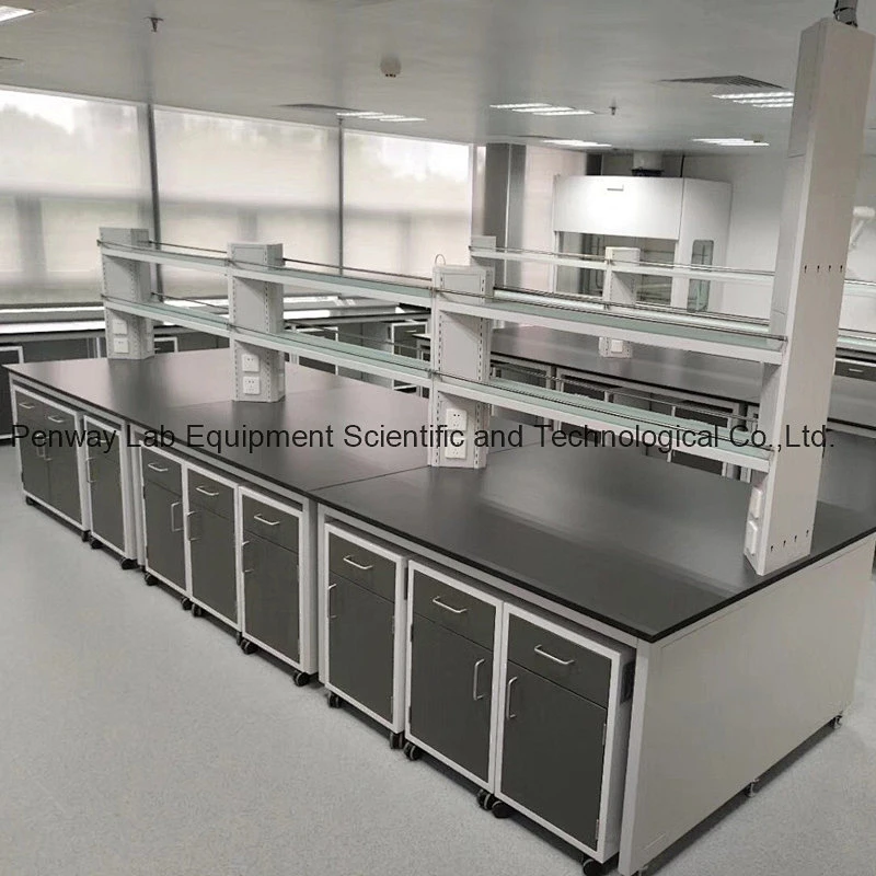 Durable Chemical Resistant Physics Chemistry Lab Furniture Science Lab Bench