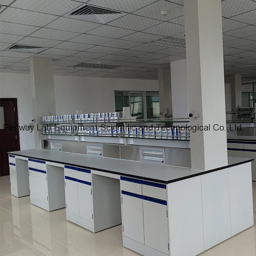 Factory Price Laboratory Work Bench School Lab Furniture