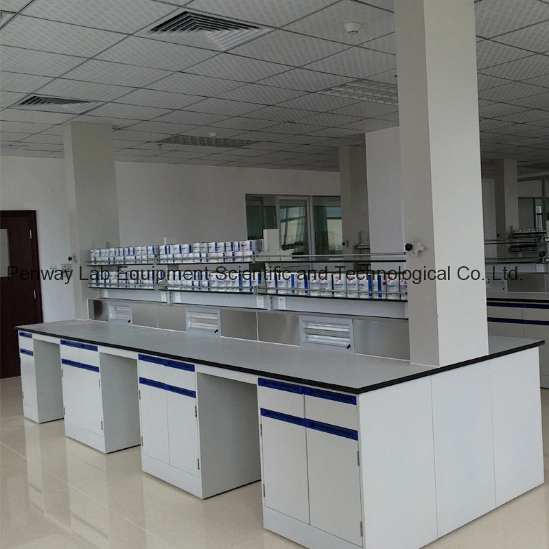 Factory Price Laboratory Work Bench School Lab Furniture