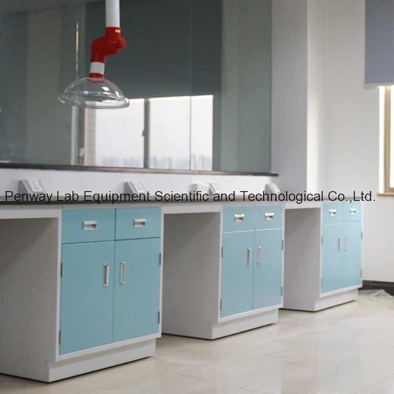 Painted Steel Chemistry Biology Lab Table Lab Furniture
