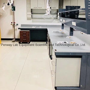 Durable Chemical Resistant Physics Chemistry Lab Furniture Science Lab Bench