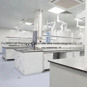 Chemical Resistant School Chemistry University Lab Bench Lab Table Lab Furniture