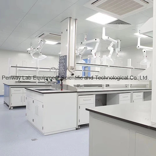 Chemical Resistant School Chemistry University Lab Bench Lab Table Lab Furniture