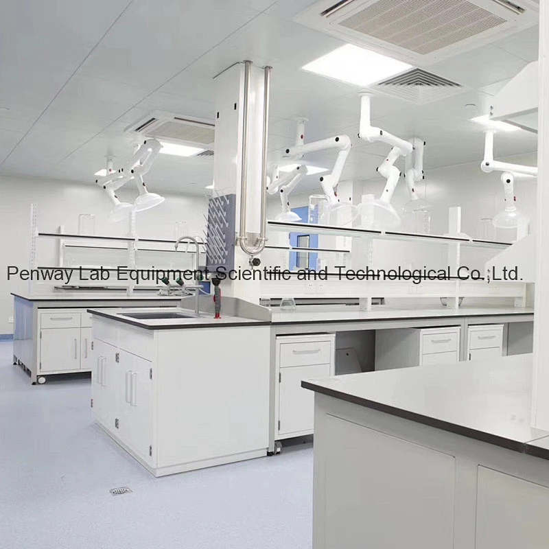 Chemical Resistant School Chemistry University Lab Bench Lab Table Lab Furniture