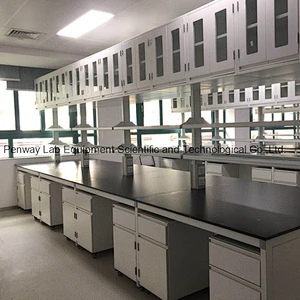 Durable Chemical Resistant Physics Chemistry Lab Furniture Science Lab Bench