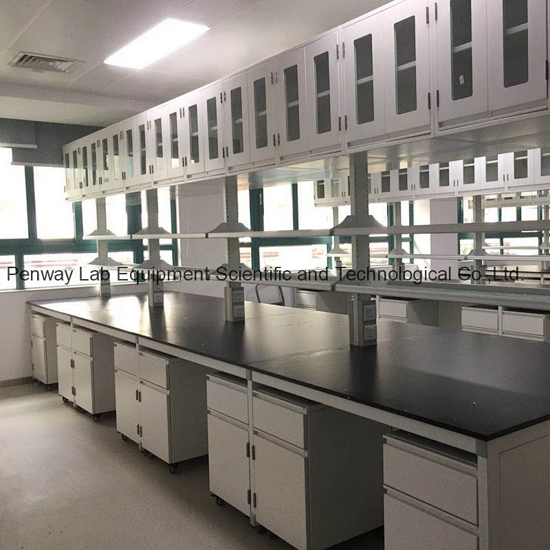 Durable Chemical Resistant Physics Chemistry Lab Furniture Science Lab Bench