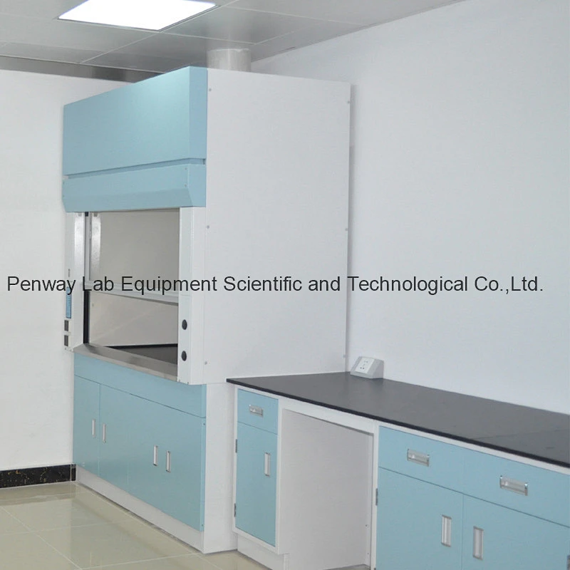 Energy Saving Chemical Resistant Fume Hood with CE Certificate
