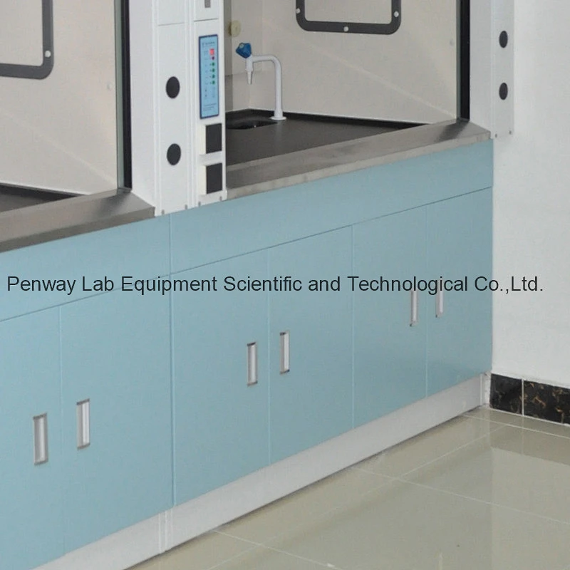 Energy Saving Chemical Resistant Fume Hood with CE Certificate