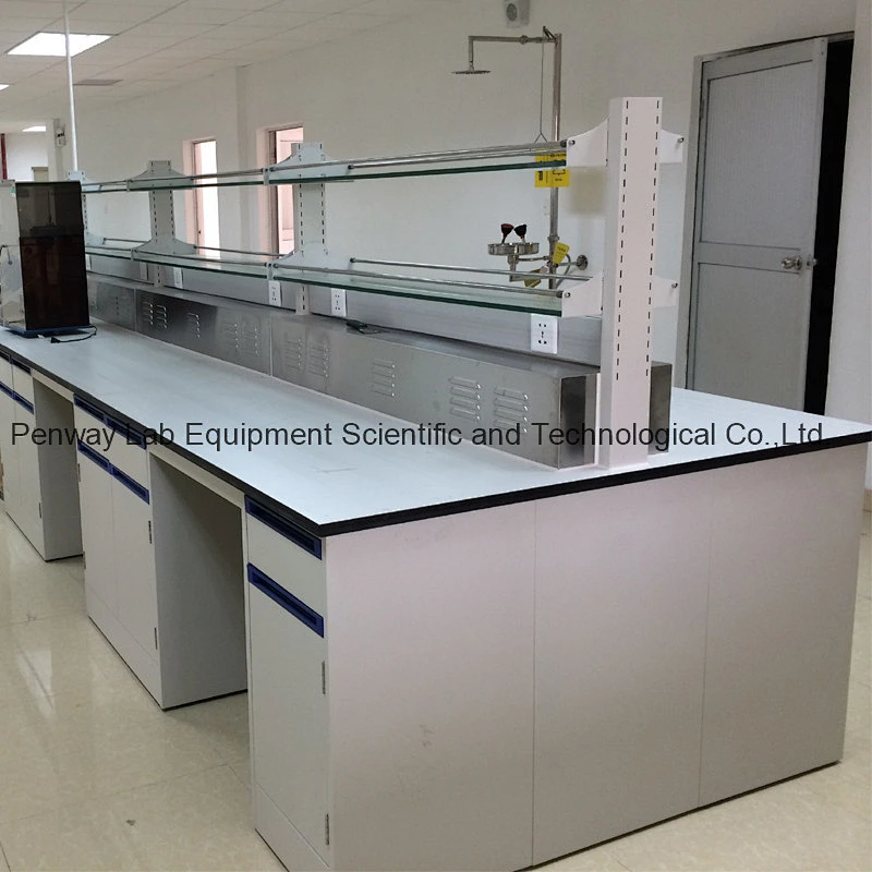 Factory Price Laboratory Work Bench School Lab Furniture