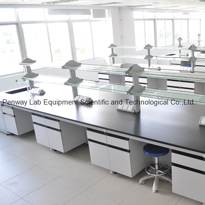 Steel MDF High Grade PP Lab Sink Laboratory Furniture
