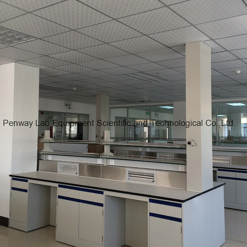 Factory Price Laboratory Work Bench School Lab Furniture