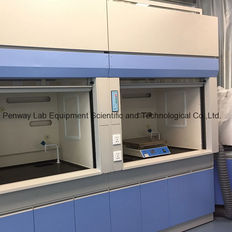 Durable Acid Alkali Resistant Painted Steel Chemical Fume Hood