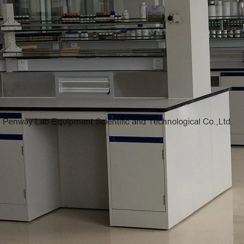 Factory Price Laboratory Work Bench School Lab Furniture