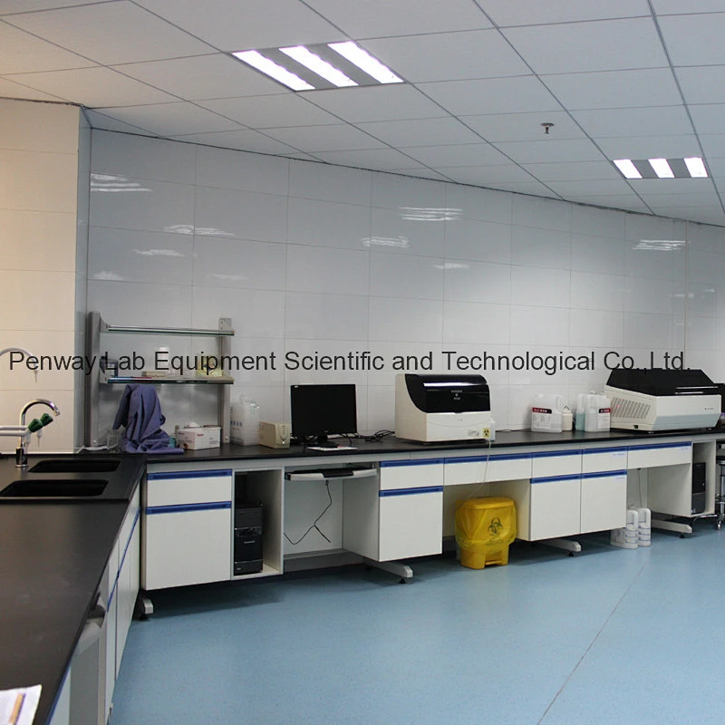 Directly Manufacture MDF Cabinet Steel Frame Science Lab furniture