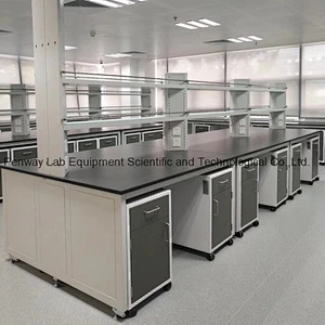 Durable Chemical Resistant Physics Chemistry Lab Furniture Science Lab Bench