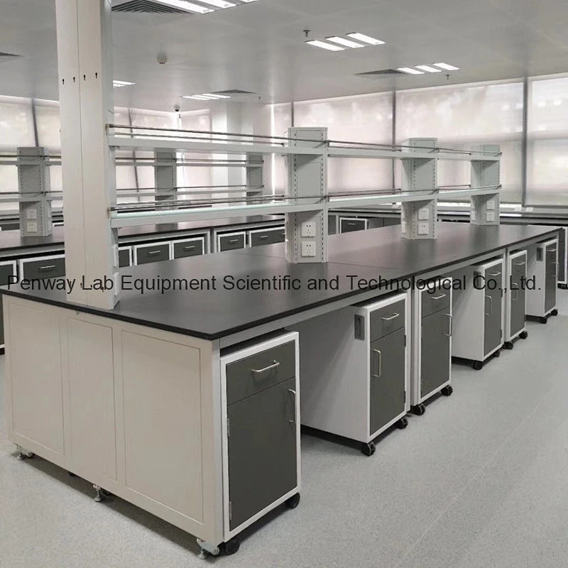 Durable Chemical Resistant Physics Chemistry Lab Furniture Science Lab Bench