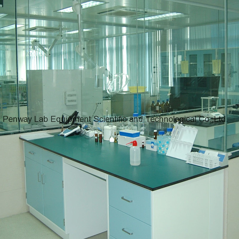 Durable Chemical Resistant Physics Chemistry Lab Furniture Science Lab Bench