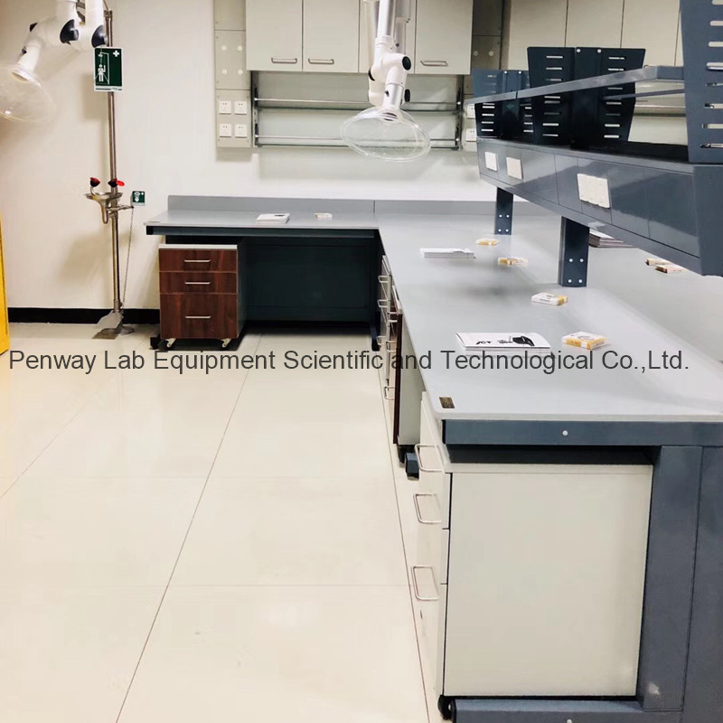 Suspension structure lab bench
