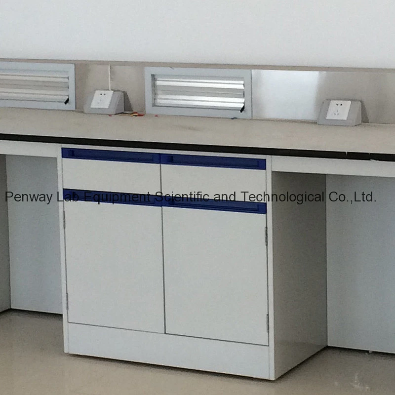 Factory Price Laboratory Work Bench School Lab Furniture