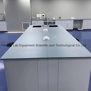 Chemical Resistant School Chemistry University Lab Bench Lab Table Lab Furniture
