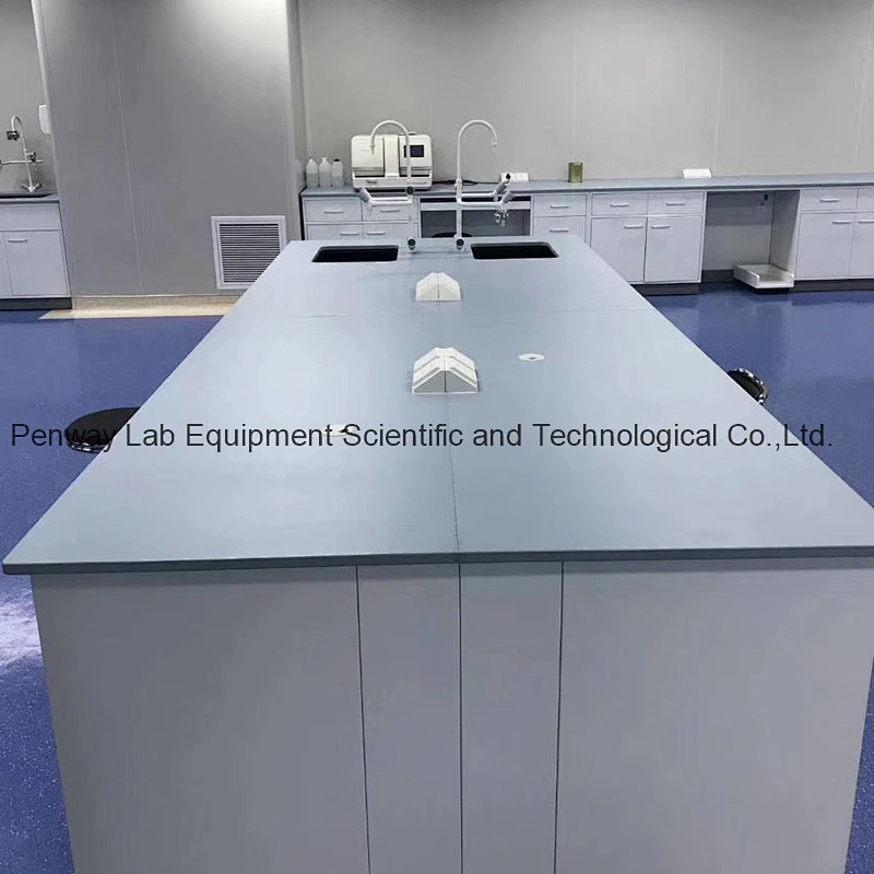 Chemical Resistant School Chemistry University Lab Bench Lab Table Lab Furniture