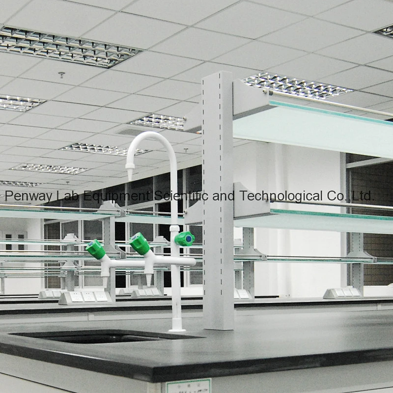 Steel MDF High Grade PP Lab Sink Laboratory Furniture