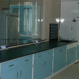 Durable Chemical Resistant Physics Chemistry Lab Furniture Science Lab Bench