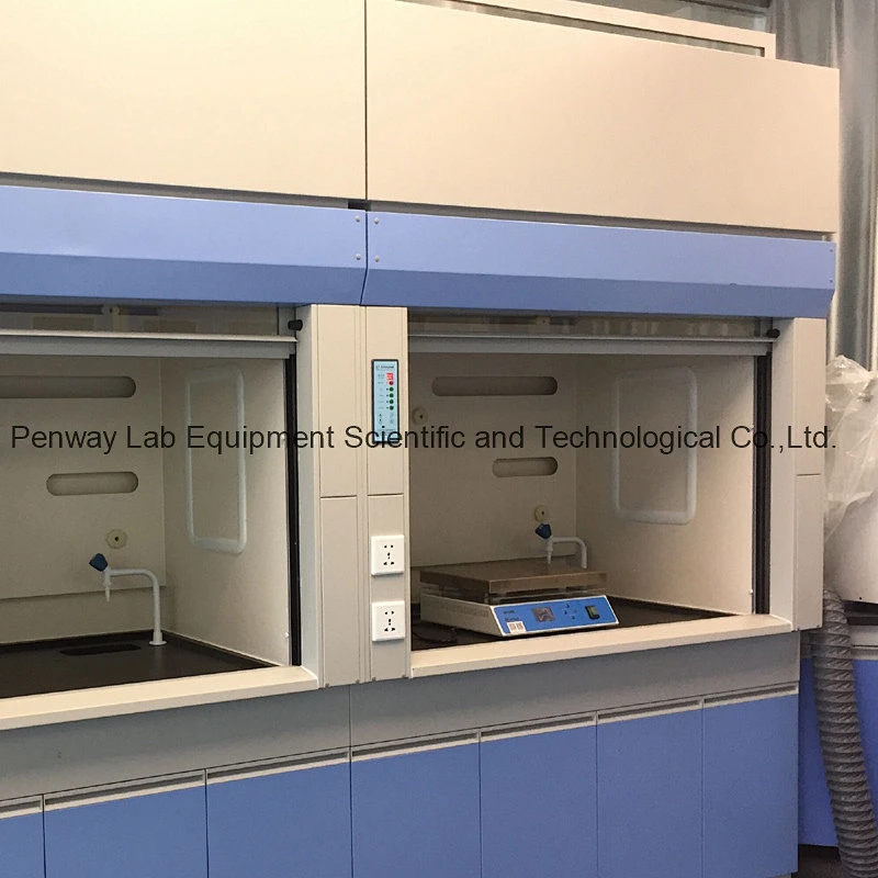 Durable Acid Alkali Resistant Painted Steel Chemical Fume Hood