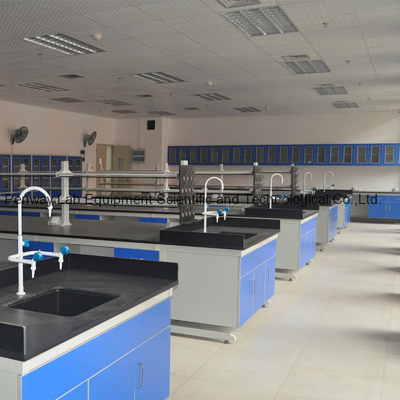 Chemical Resistant Steel and Wood Lab Furniture with Good Quality